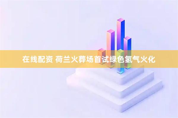 在线配资 荷兰火葬场首试绿色氢气火化
